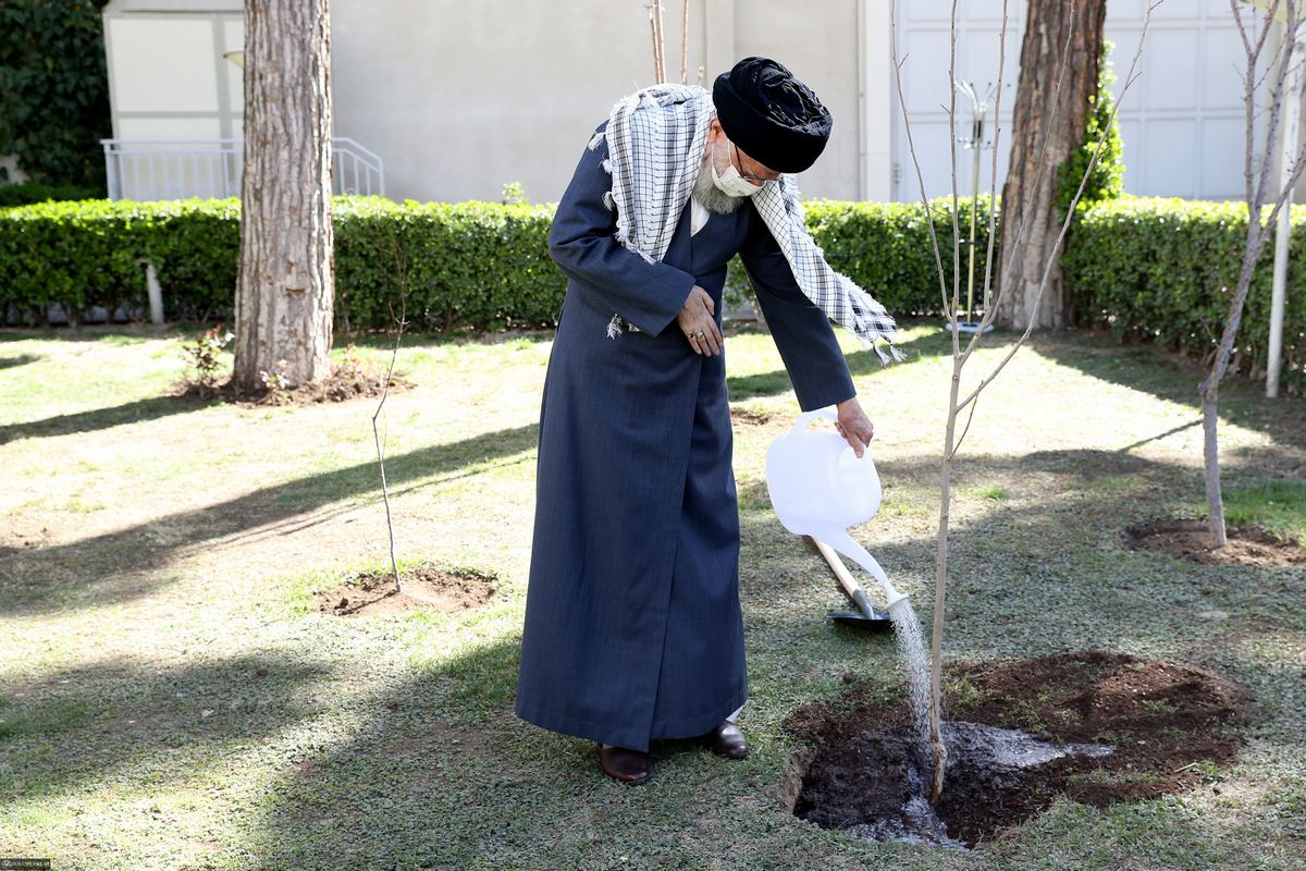 کاشت دو نهال میوه توسط رهبر معظم انقلاب