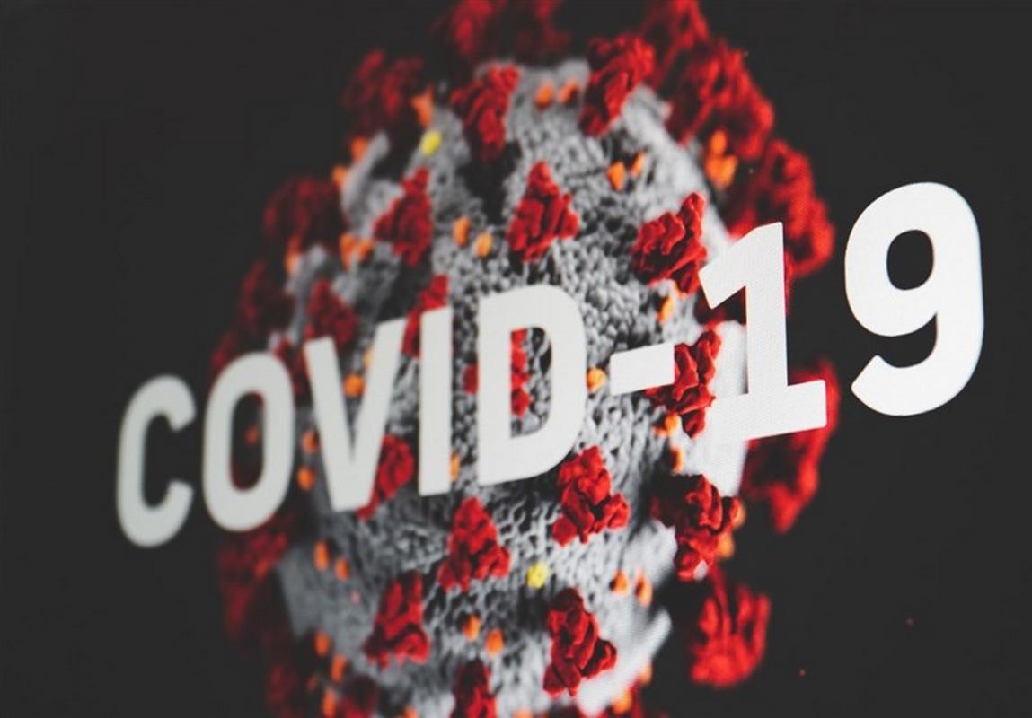 covid-19 in virus