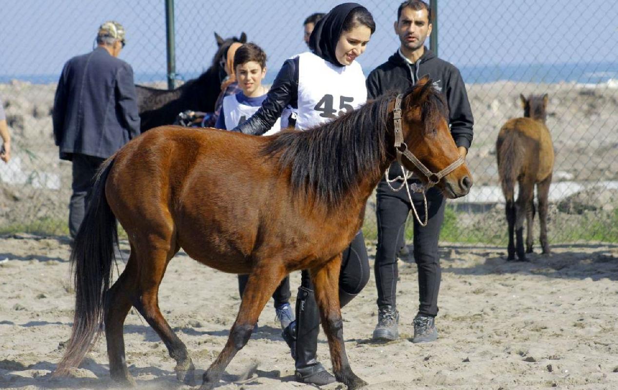ایران رسماً منشا نژاد اسب کاسپین شناخته شد