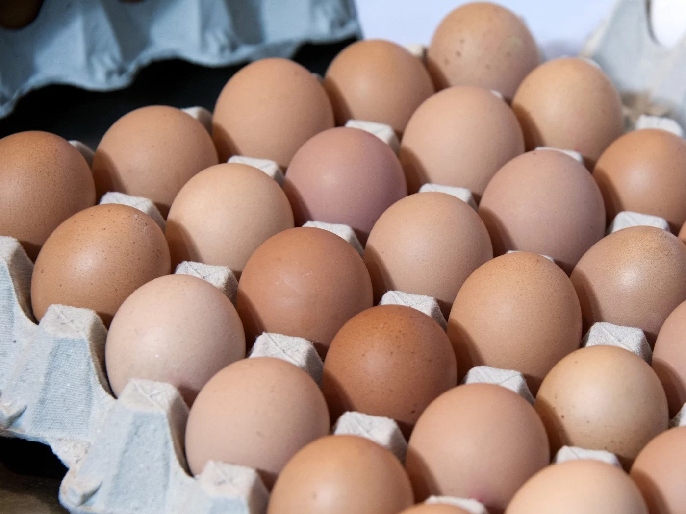قیمت جدید تخم مرغ در میادین اعلام شد