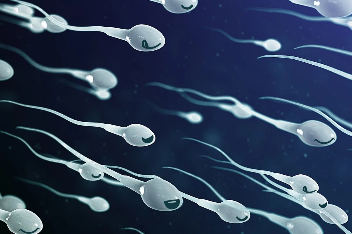 آلاینده‌های شیمیایی، تعداد اسپرم مردان را کاهش داده است