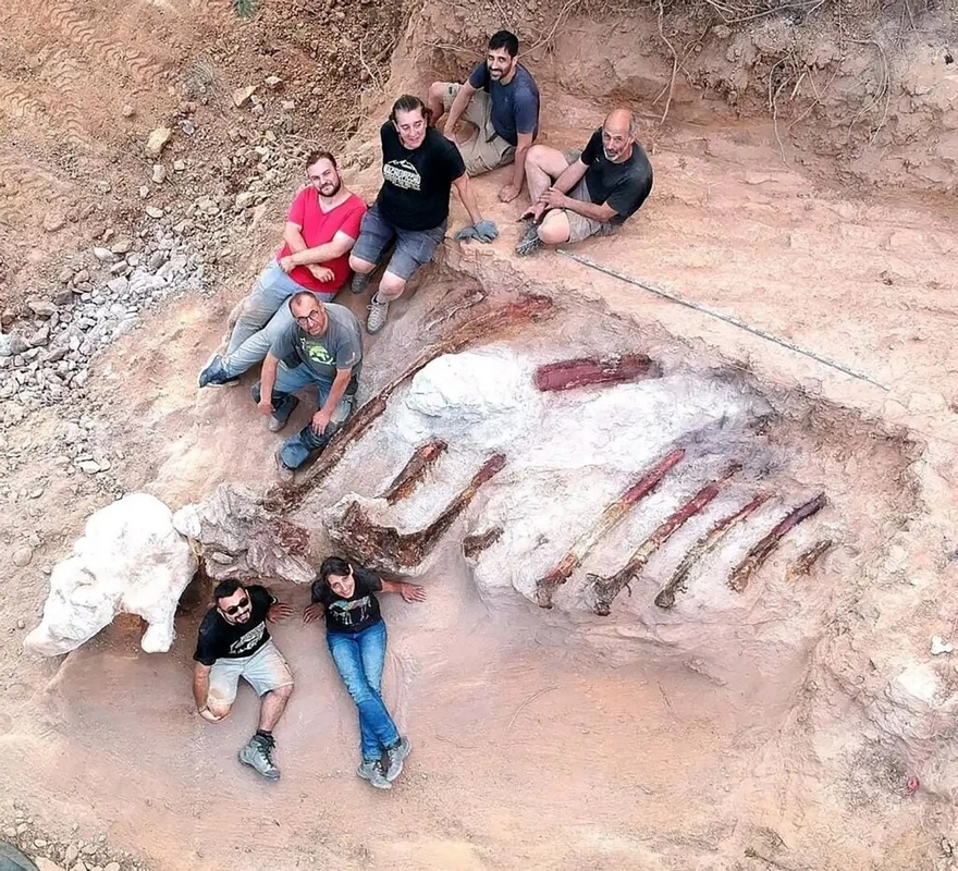 کشف بقایای یک دایناسور در حیاط یک خانه مسکونی