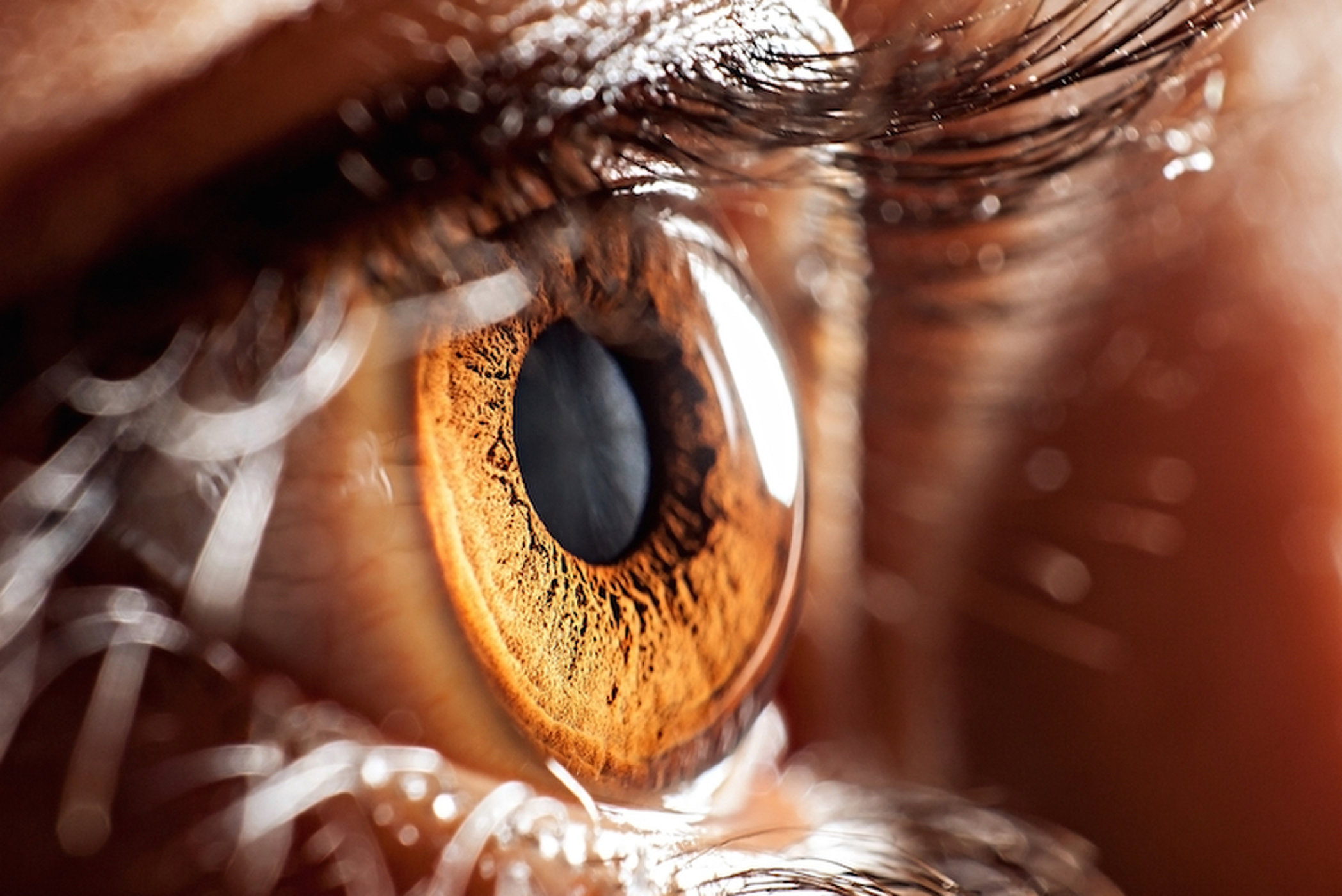 پیش‌بینی حملات قلبی با یک آزمایش ساده چشم