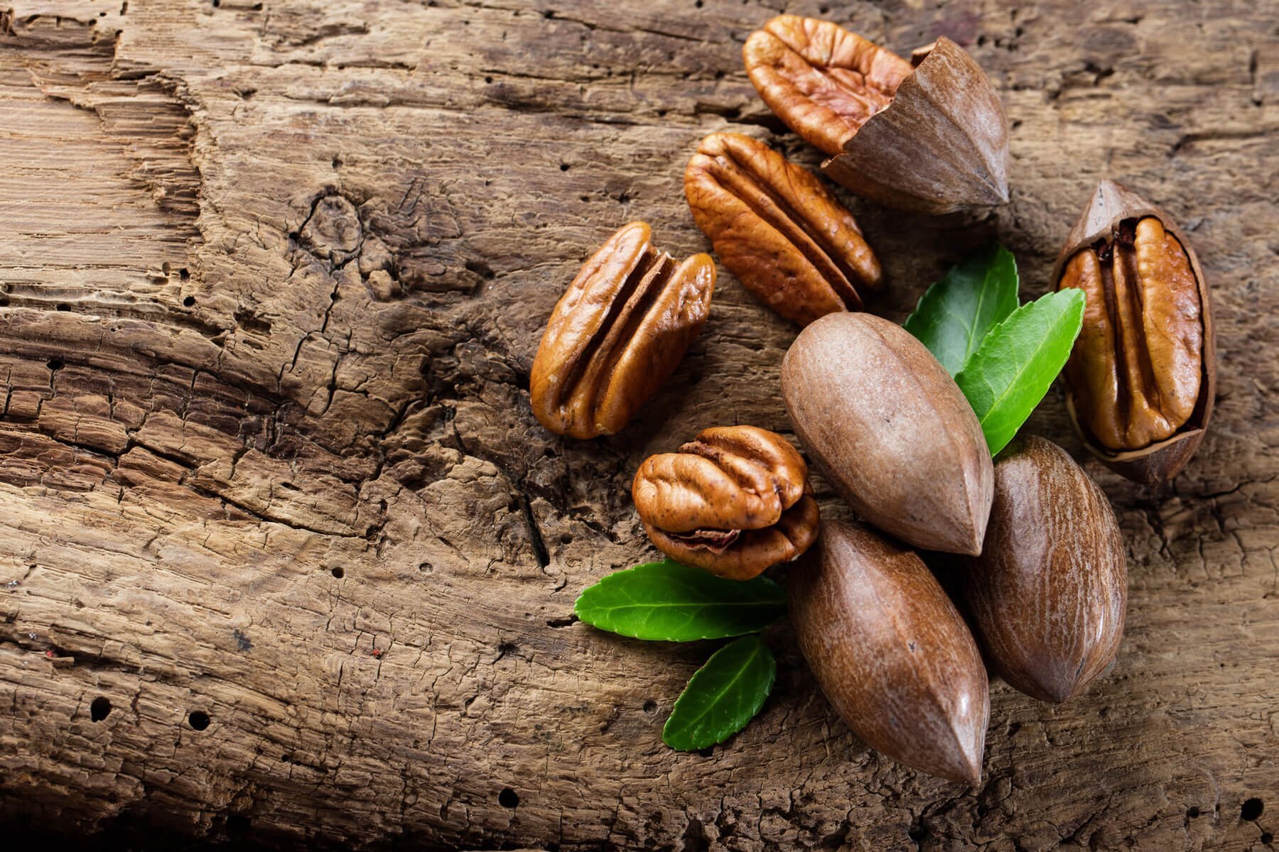 فواید گردوی آمریکایی برای قلب